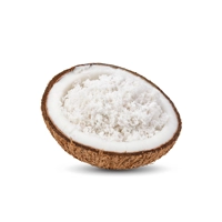 Coconut Powder