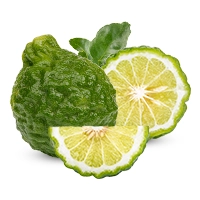 Bergamot