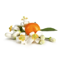 Orange Blossom