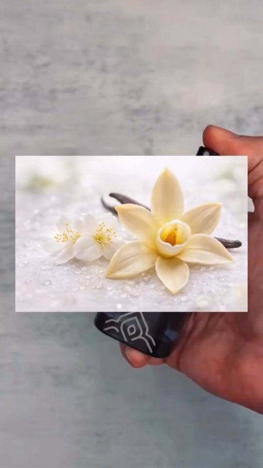 Instagram post from bt.salama. This post is in position 0.